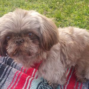 Meet your Posher, Rosaura